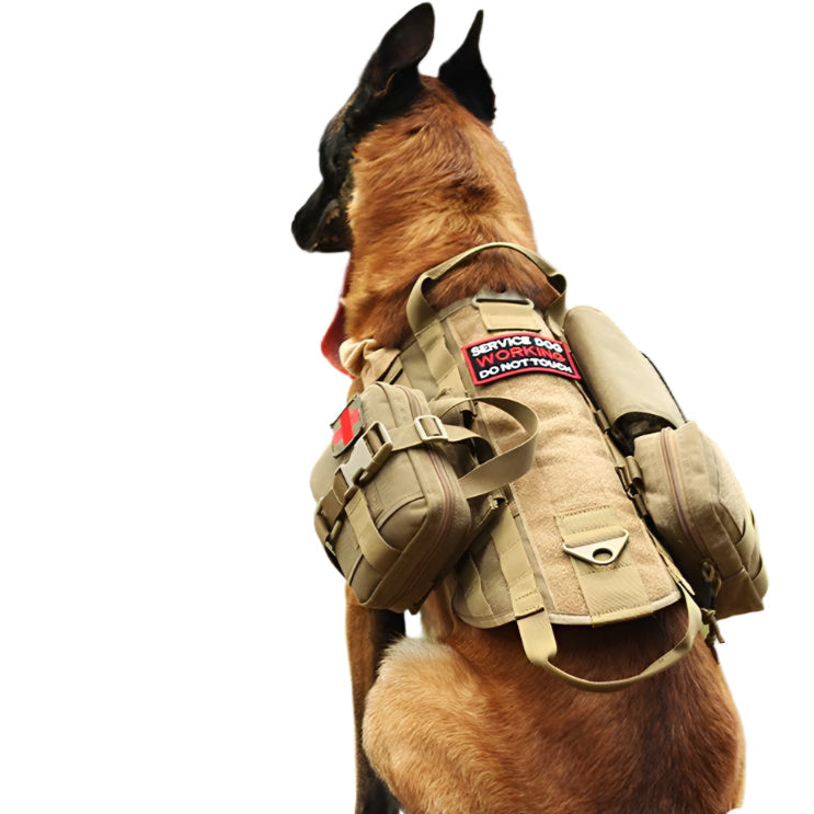 Tactical Dog Harness