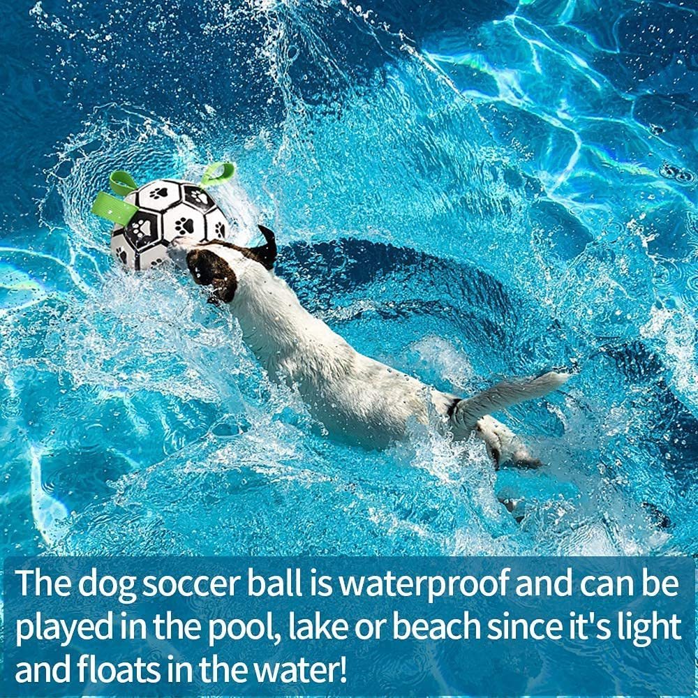 Dog Football Toy