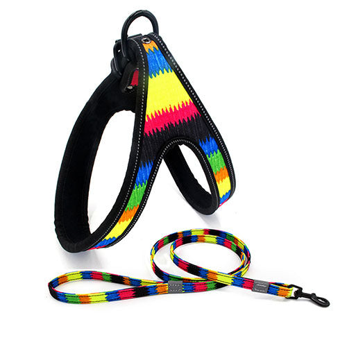 Colorful Comfort Dog Harness