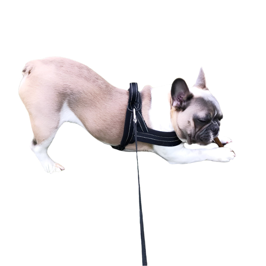 Fleece Adjustable Vest With Pet Chest Harness