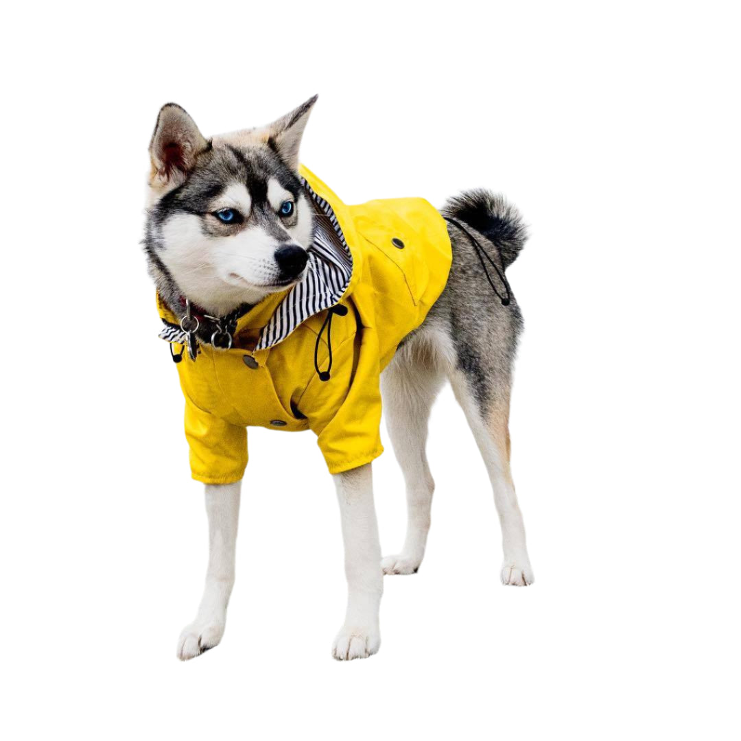 Dog Clothes Rain Water