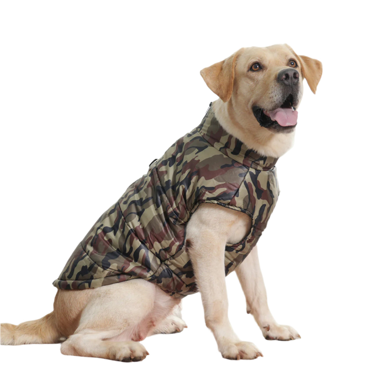 Winter Thickened Dog Camouflage