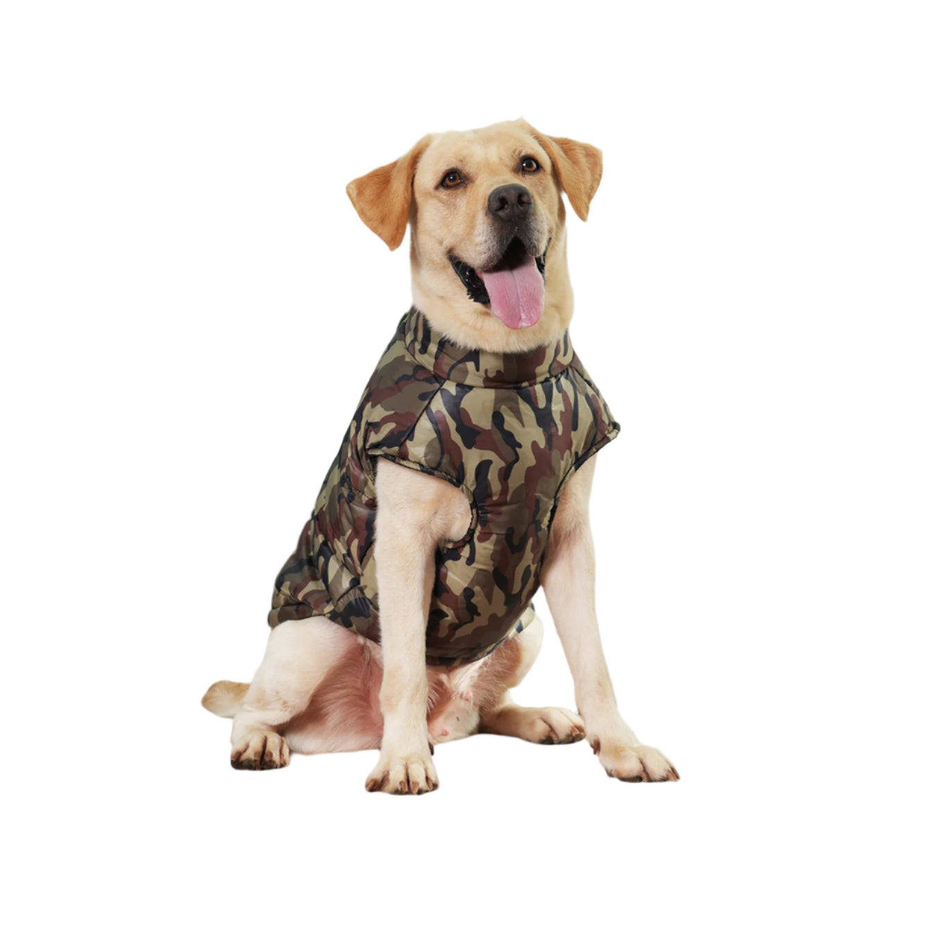 Winter Thickened Dog Camouflage