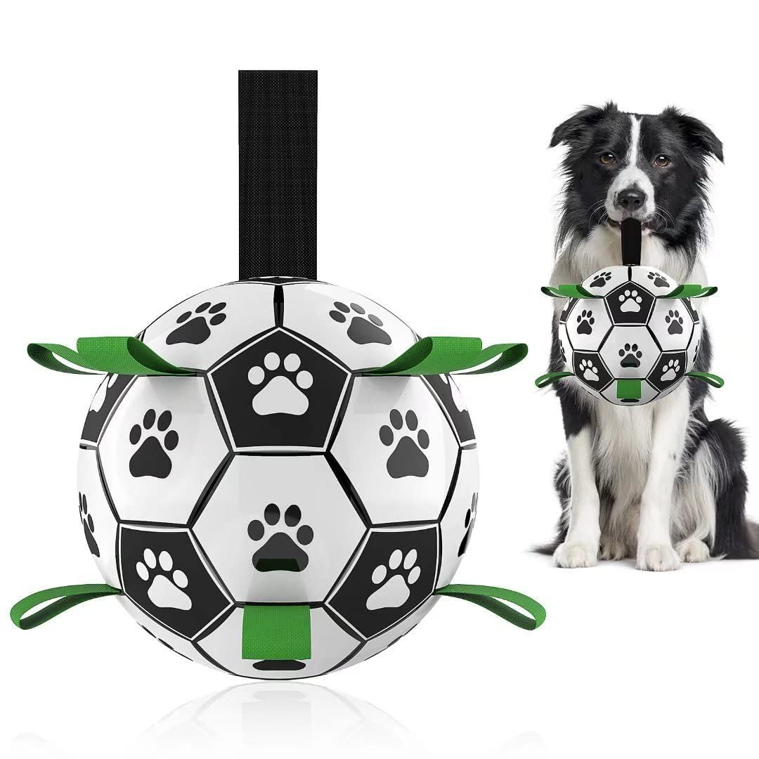 Dog Football Toy