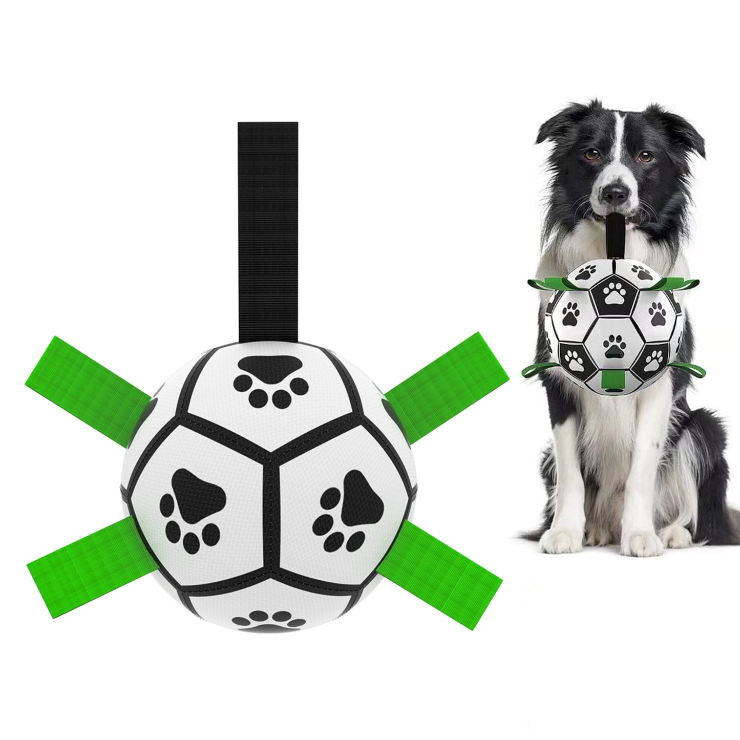 Dog Football Toy