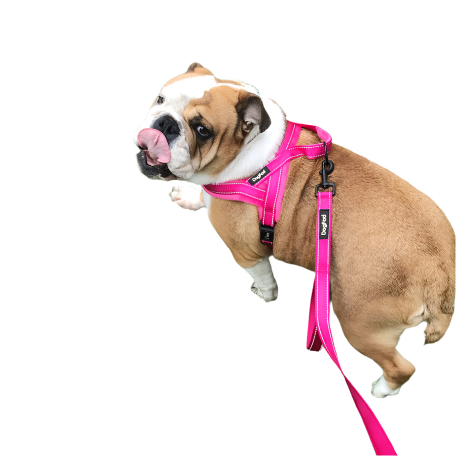 Fleece Adjustable Vest With Pet Chest Harness