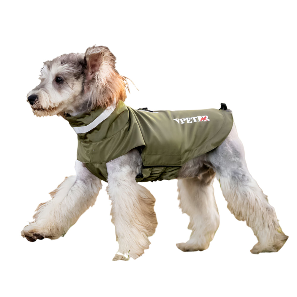 Dog Outdoor Windproof Rain