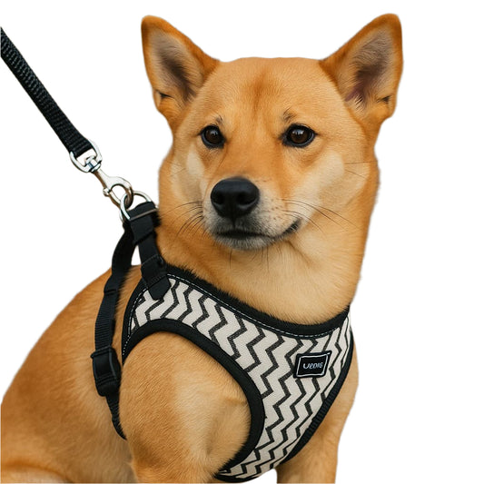 Dog Chest Harness Traction
